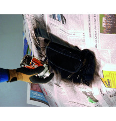 Tinta Spray para Escapes / Ponteiras Foliatec 250ml - Várias Cores