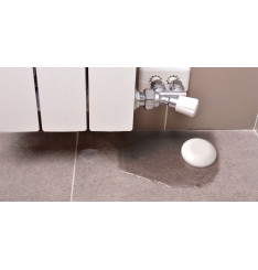 Shelly Flood Sensor água Wifi