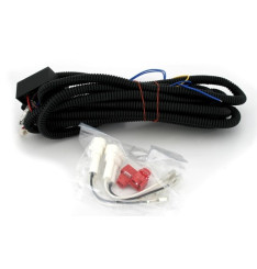 Faróis de nevoeiro com Luzes Diurnas Renault 