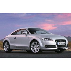 Audi TT 8J desde 2006
